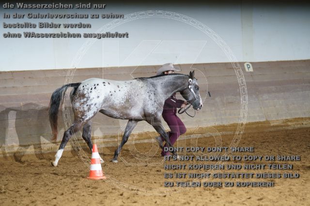 s_K3F01591.JPG